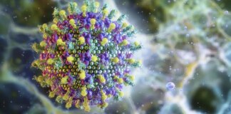 ministerio-da-saude-diz-que-virus-nipah-nao-ameaca-o-brasil