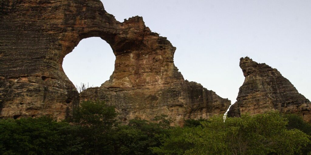 Ecosociobio incentiva economia sustentável nas Unidades de Conservação – Cidade AC News ecosociobio-incentiva-economia-sustentavel-nas-unidades-de-conservacao