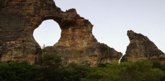 ecosociobio-incentiva-economia-sustentavel-nas-unidades-de-conservacao