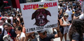 caso-orelha:-policia-pede-internacao-de-adolescente-envolvido-no-crime