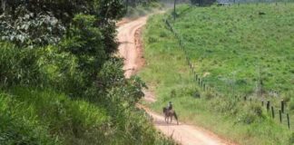 incra-abre-chamamento-para-compra-de-areas-rurais-em-cruzeiro-do-sul-visando-novos-assentamentos