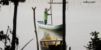 seguro-defeso-comeca-a-ser-pago-dia-17;-primeira-etapa-soma-r$-76-mi