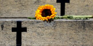 Caso de Itumbiara acende alerta para violência vicária; entenda caso-de-itumbiara-acende-alerta-para-violencia-vicaria;-entenda