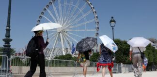 europa:-temperatura-alta-pode-elevar-transmissao-do-virus-chikungunya