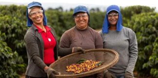 Café da Chapada de Minas é reconhecido com Indicação Geográfica cafe-da-chapada-de-minas-e-reconhecido-com-indicacao-geografica