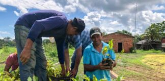 Secretaria de Agricultura regulamenta procedimentos de credenciamento e contratação para fornecimento de mudas secretaria-de-agricultura-regulamenta-procedimentos-de-credenciamento-e-contratacao-para-fornecimento-de-mudas