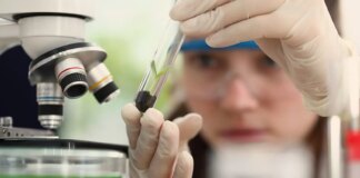 observatorio-lanca-edital-do-programa-meninas-cientistas-do-on