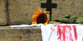 estado-de-sao-paulo-tem-aumento-de-feminicidios-em-janeiro-deste-ano