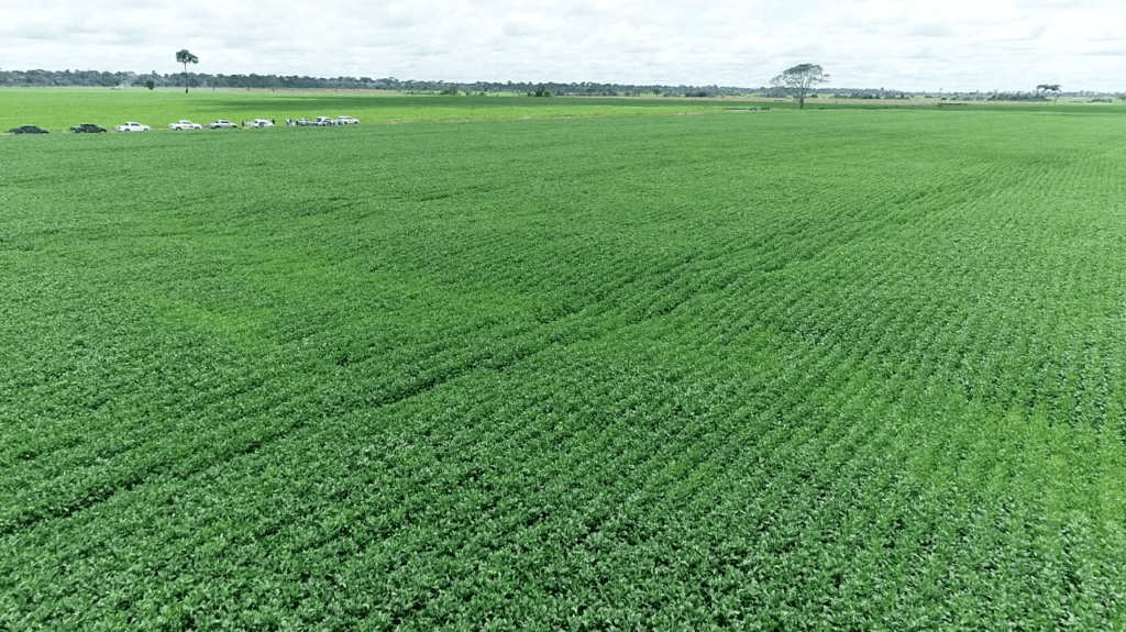 Agronegócio no Acre: 5 pontos essenciais para entender o impacto econômico – Cidade AC News Agronegócio no Acre