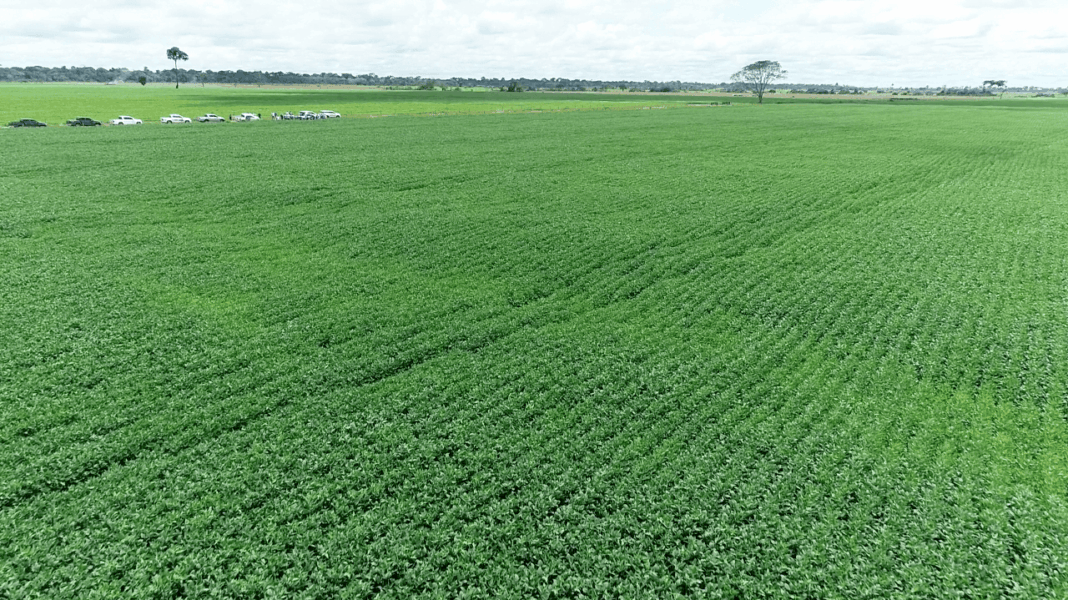 Agronegócio no Acre