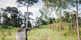 Economia do Acre cresce e aponta novos caminhos para desenvolvimento regional Economia do Acre registra crescimento com expansão do setor produtivo e geração de empregos