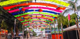 Carnaval em Rio Branco 2026