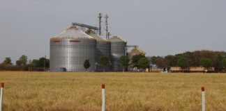 Brasil tem sexto maior crescimento no ranking das economias do G20 brasil-tem-sexto-maior-crescimento-no-ranking-das-economias-do-g20