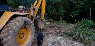 MG: mais de 400 produtores rurais foram prejudicados pelas chuvas mg:-mais-de-400-produtores-rurais-foram-prejudicados-pelas-chuvas