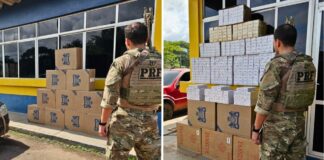 prf-apreende-12-mil-macos-de-cigarros-contrabandeados-em-operacoes-na-br-364