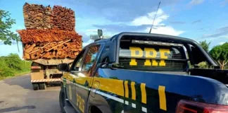 prf-apreende-madeira-irregular-na-br-364-e-investiga-possivel-possivel-fraude-ambiental