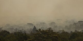 ibama-conta-4,6-mil-brigadistas-para-combater-incendios-neste-ano