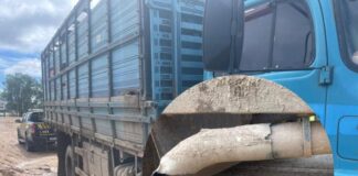 PRF flagra caminhão com pessoas na parte externa e escapamento irregular na BR-364 prf-flagra-caminhao-com-pessoas-na-parte-externa-e-escapamento-irregular-na-br-364