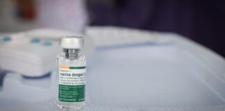 Vacina brasileira contra a dengue mantém eficácia por até 5 anos vacina-brasileira-contra-a-dengue-mantem-eficacia-por-ate-5-anos