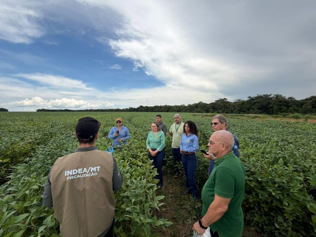 missao-tecnica-do-idaf em-mato-grosso-reforca-acoes-de-defesa sanitaria-vegetal no-acre