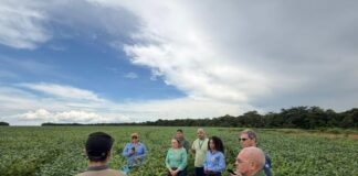 missao-tecnica-do-idaf em-mato-grosso-reforca-acoes-de-defesa sanitaria-vegetal no-acre