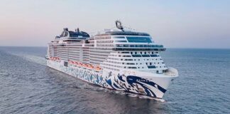 Passageiros de cruzeiro retido em Dubai começam a voltar pra casa passageiros-de-cruzeiro-retido-em-dubai-comecam-a-voltar-pra-casa