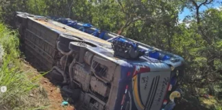 Ônibus com passageiros tomba em rodovia federal e deixa dois mortos e dez feridos onibus-com-passageiros-tomba-em-rodovia-federal-e-deixa-dois-mortos-e-dez-feridos