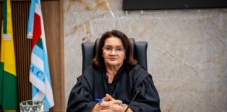 Força, competência e liderança: Mulheres ocupam a maioria dos cargos estratégicos no TCE-AC e fortalecem a governança pública forca,-competencia-e-lideranca:-mulheres-ocupam-a-maioria-dos-cargos-estrategicos-no-tce-ac-e-fortalecem-a-governanca-publica