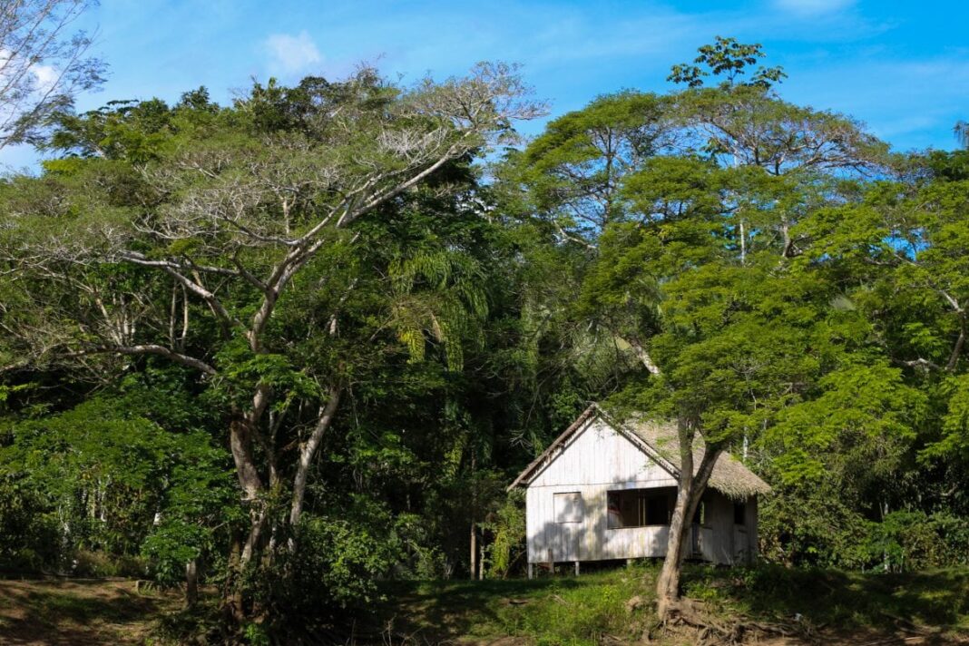 governo-do-acre-lanca-edital-de-apoio-a-projetos-de-recuperacao-de-areas-degradadas-e-enfrentamento-aos-extremos-climaticos