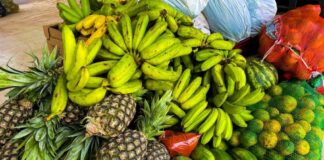 Programa Estadual de Aquisição de Alimentos fortalece agricultura familiar e amplia oferta de alimentos no Acre programa-estadual-de-aquisicao-de-alimentos-fortalece-agricultura-familiar-e-amplia-oferta-de-alimentos-no-acre