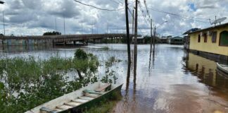 Rio Juruá volta a subir em Cruzeiro do Sul e alcança 10,50 metros nesta terça rio-jurua-volta-a-subir-em-cruzeiro-do-sul-e-alcanca-10,50-metros-nesta-terca