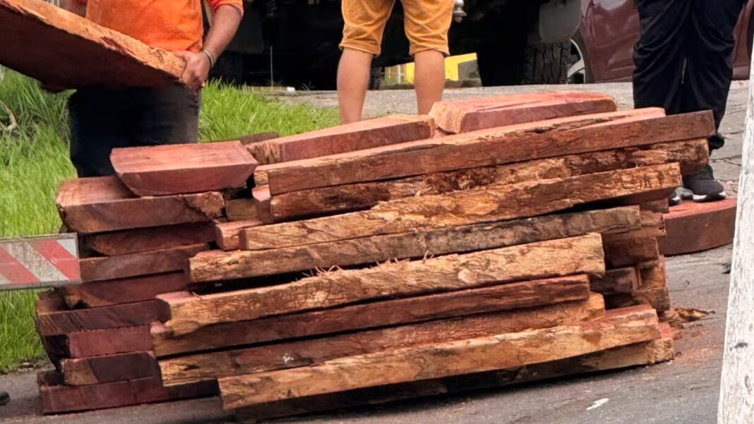 prf-apreende-caminhao-com-madeira-irregular-durante-fiscalizacao-em-cruzeiro-do-sul