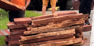 PRF apreende caminhão com madeira irregular durante fiscalização em Cruzeiro do Sul prf-apreende-caminhao-com-madeira-irregular-durante-fiscalizacao-em-cruzeiro-do-sul