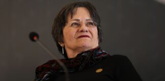 Ataques a Maria da Penha tentam enfraquecer conquistas, diz instituto ataques-a-maria-da-penha-tentam-enfraquecer-conquistas,-diz-instituto