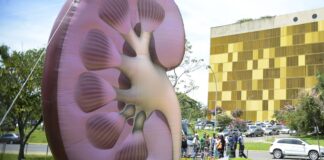 Dia Mundial do Rim: doenças renais são silenciosas e exigem atenção dia-mundial-do-rim:-doencas-renais-sao-silenciosas-e-exigem-atencao