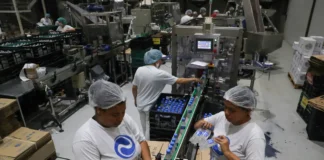 Setor de serviços do Brasil cresce 0,3% em janeiro, diz IBGE setor-de-servicos-do-brasil-cresce-0,3%-em-janeiro,-diz-ibge