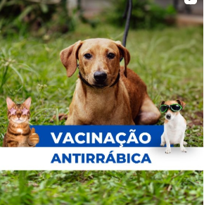 saude-animal:-rio-branco-recebe-pontos-de-vacinacao-antirrabica-neste-fim-de-semana