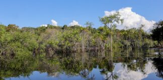 governo-levantou-r$-179-bi-desde-2023-para-transicao-ecologica