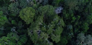 Previdência e BNDES querem incluir ESG na gestão de fundos de pensão previdencia-e-bndes-querem-incluir-esg-na-gestao-de-fundos-de-pensao