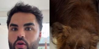 Após ser acusado de abandonar cadela, Lucas Guedez se manifesta apos-ser-acusado-de-abandonar-cadela,-lucas-guedez-se-manifesta