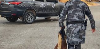 Curso no Vale do Juruá capacita agentes em treinamento de cães para busca, proteção e apoio policial curso-no-vale-do-jurua-capacita-agentes-em-treinamento-de-caes-para-busca,-protecao-e-apoio-policial