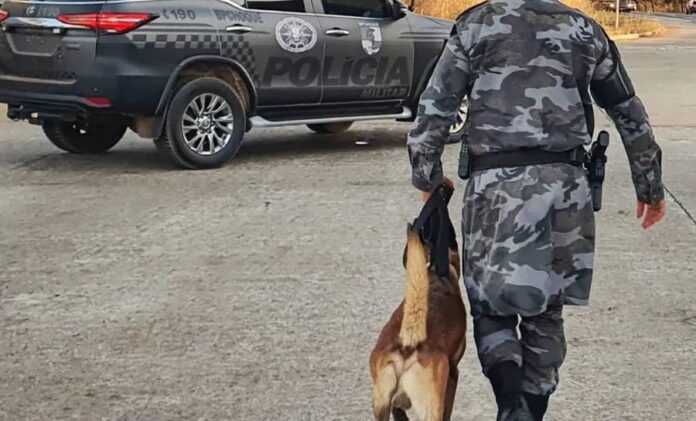 curso-no-vale-do-jurua-capacita-agentes-em-treinamento-de-caes-para-busca,-protecao-e-apoio-policial