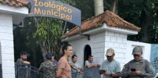 homem-invade-zoologico,-mata-veado-campeiro-e-deixa-outros-animais-feridos-antes-de-ser-preso
