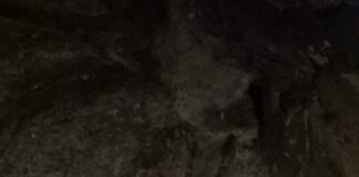 policia-civil-do-acre,-gefron-e-pm-do-amazonas-desarticulam-celula-criminosa-em-guajara