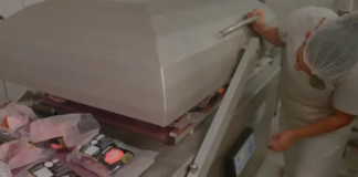 programa-brasil-mais-produtivo-transforma-a-gestao-de-empresa-de-suinos-no-rj