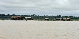 mpf-recomenda-fiscalizacao-do-rio-tonantins,-no-amazonas