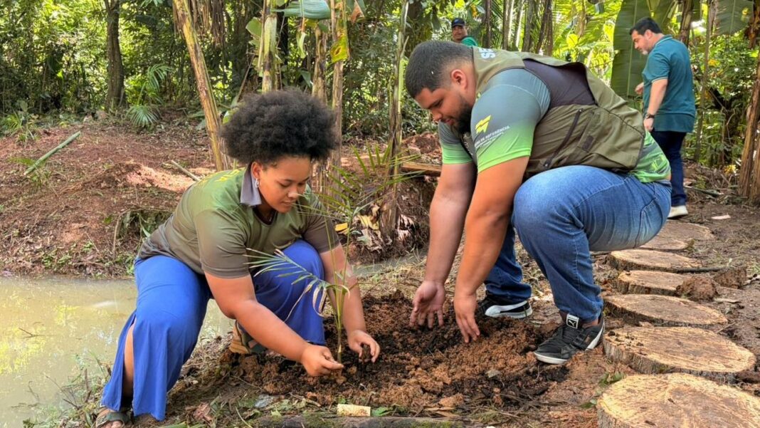 prefeitura-de-rio-branco-realiza-acao-de-restauracao-no-entorno-da-nascente-do-horto-florestal