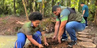 prefeitura-de-rio-branco-realiza-acao-de-restauracao-no-entorno-da-nascente-do-horto-florestal