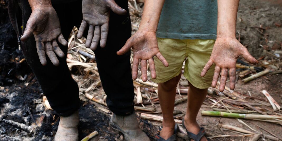 familias-lutam-para-reconstruir-a-vida-um-mes-depois-de-chuvas-em-mg