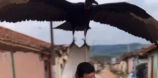 em-sena,-vereador-usa-ia-para-denunciar-descaso-com-lixo-e-buracos